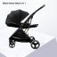 black stroller