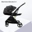 black print stroller