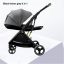 gray stroller